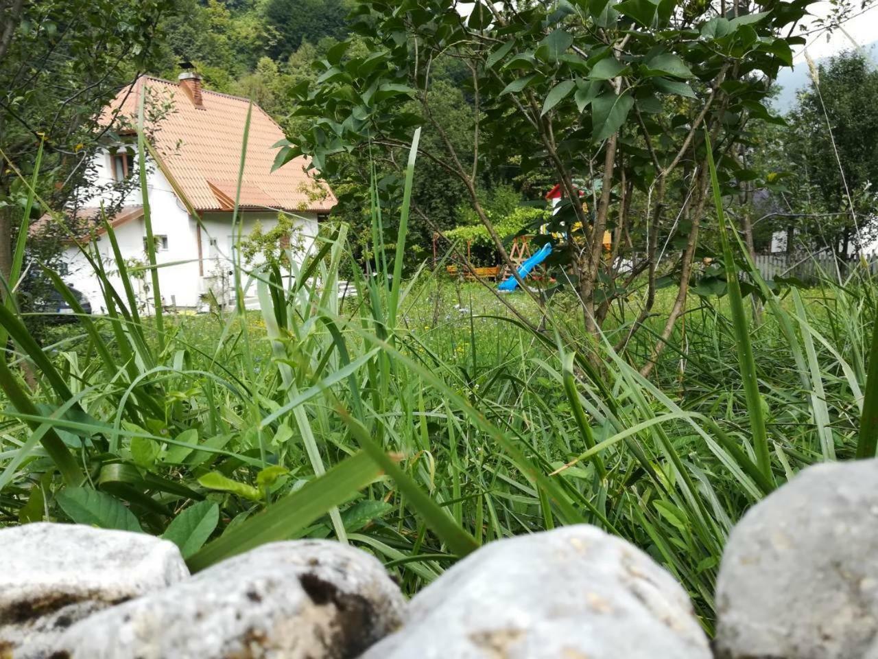 Cottage Forest Stream 维索科 外观 照片