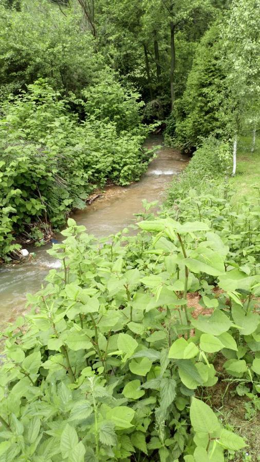 Cottage Forest Stream 维索科 外观 照片