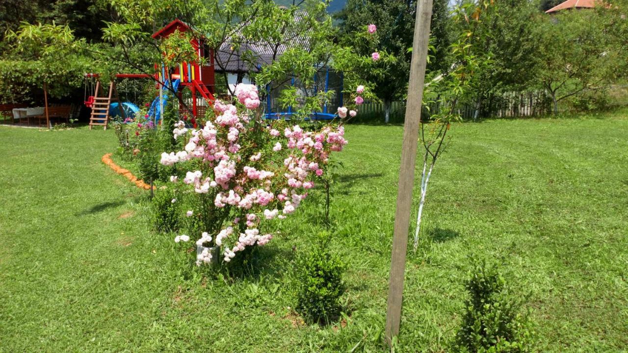 Cottage Forest Stream 维索科 外观 照片
